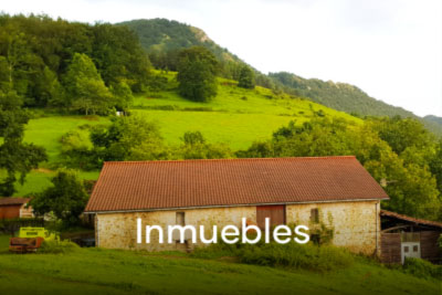 Inmuebles