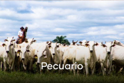 Pecuario