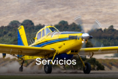 Servicios